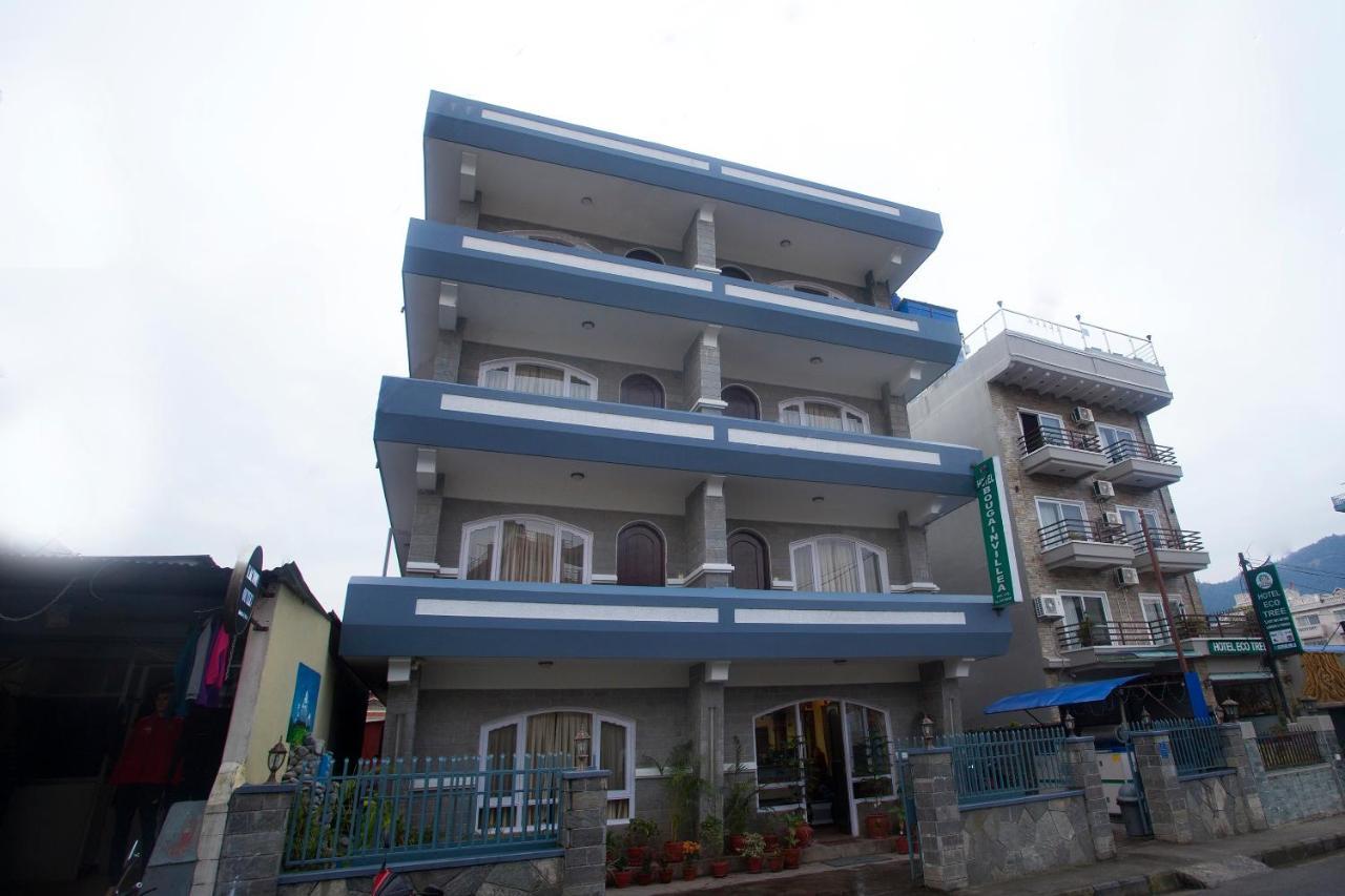 Hotel Bougainvillea بوكْرا المظهر الخارجي الصورة